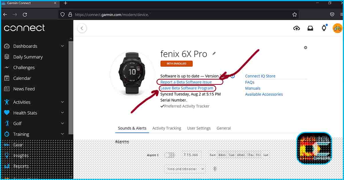 What Is Garmin Beta Software Program?